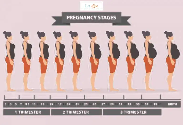 First Trimester (Weeks 1–12): Early Changes You Might Not Notice Elstree